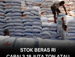 Stok Beras Nasional Capai Rekor Tertinggi dalam 23 Tahun Terakhir