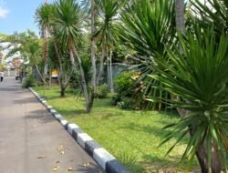 Meningkatkan Kenyamanan dalam Lingkungan Kerja, PLN Icon Plus SBU Regional Bali Nusa Tenggara Menerapkan Penghijauan Kantor Melalui Tanaman Hias