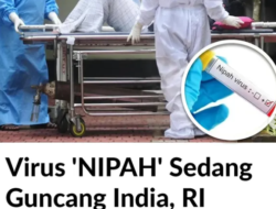 Waspada Virus Nipah, India Perketat Karantina, Indonesia Keluarkan Peringatan Dini