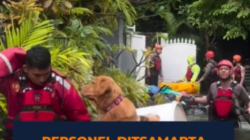 Ditsamapta Polda Bali Evakuasi Hewan Peliharaan Warga Terdampak Banjir di Kawasan Sanur