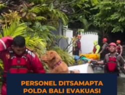 Ditsamapta Polda Bali Evakuasi Hewan Peliharaan Warga Terdampak Banjir di Kawasan Sanur