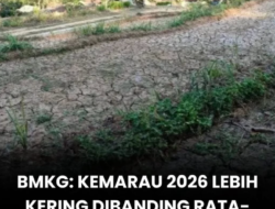 BMKG Prediksi Musim Kemarau 2026 Lebih Kering dan Berdurasi Lebih Panjang