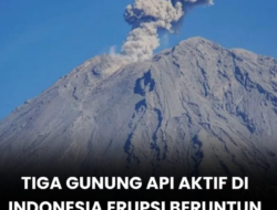 Tiga Gunung Api Indonesia Erupsi Beruntun, Gunung Lewotobi Laki-laki dan Semeru Berstatus Siaga