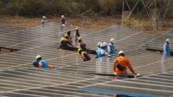 Dukung Transisi Energi Bersih, PLN Icon Plus Percepat Pembangunan PLTS di Gilimanuk