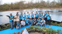 Sinergi dan Semangat Energi Hijau, PLN Icon Plus Pastikan Kesiapan Pembangunan PLTS di Gilimanuk